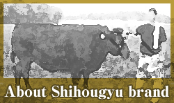 About Shihougyu brand