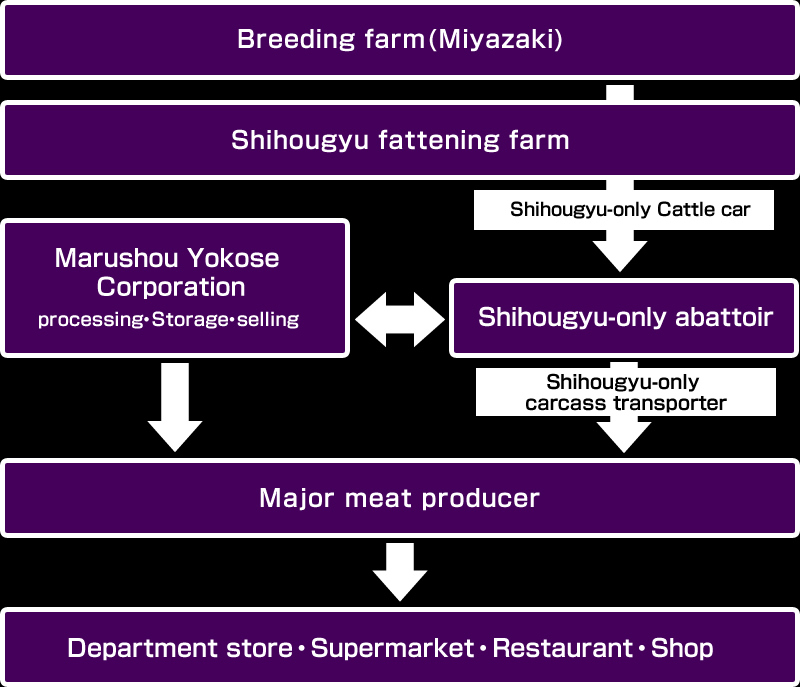 Flow of Shihougyu production